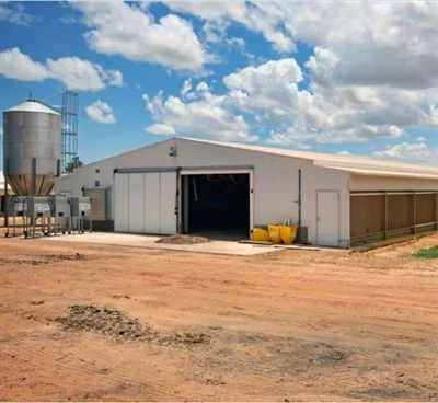 خانه مرغ برای 10000 مرغ